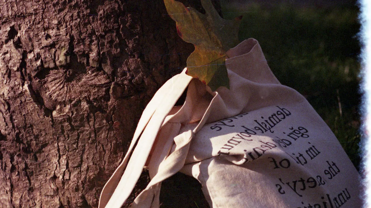 A printed tote bag