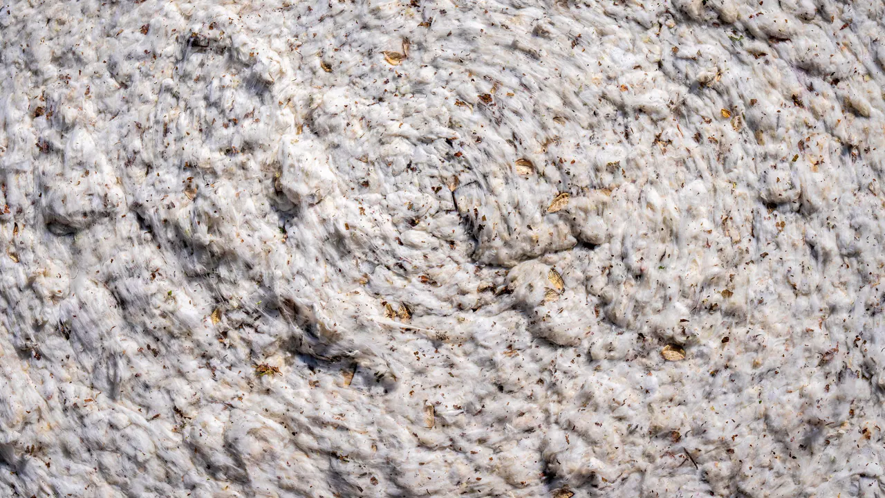 Close-up of cotton fabric weave